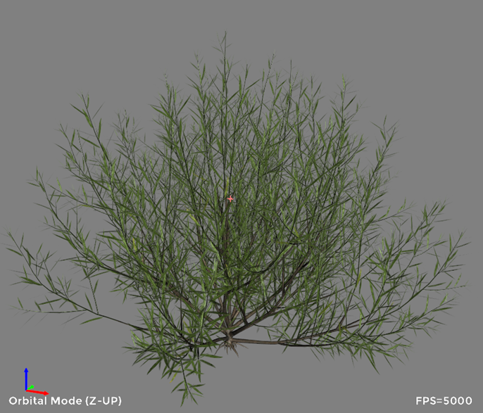 Plant in 3D viewer
