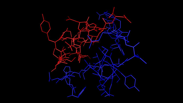 Insulin showing different coloured chains.