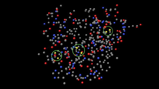 Insulin showing areas of adjacent sulphur atoms.
