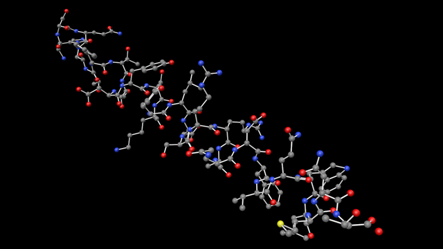 Glucagon including bonds.