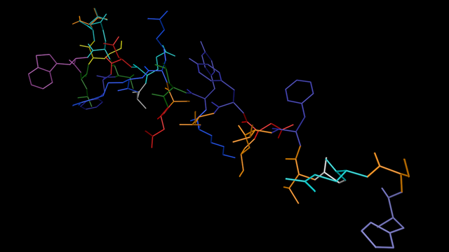 Glucagon with bonds coloured by residue.