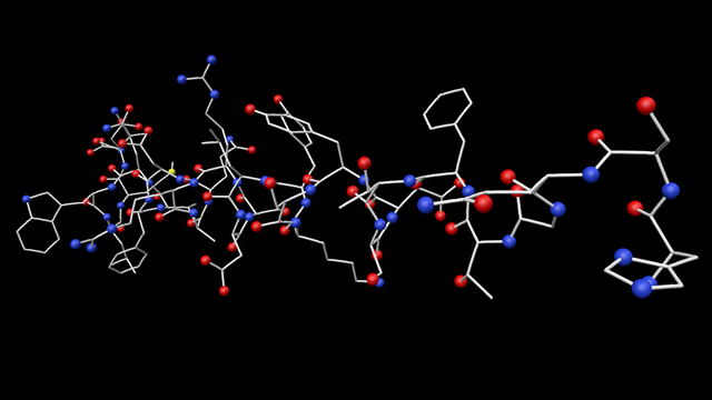 Glucagon with carbon atoms hidden by transparent material.