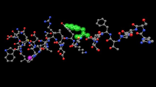 Glucagon showing residue and atom highlighting.