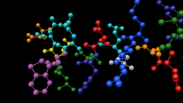 Part of glucagon, rendered as spheres.