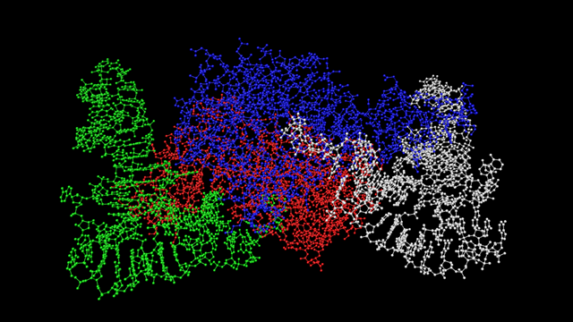 Same image but nucleotide bonds are now shown.