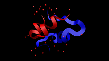 Insulin