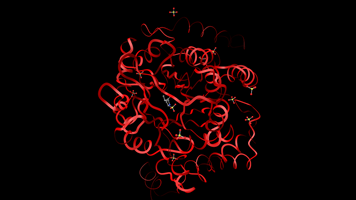 Methyltransferase