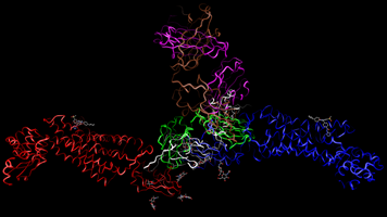 Signalling protein