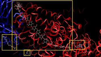 Transferase