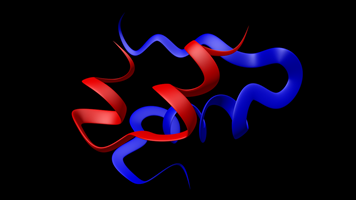 Insulin