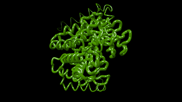 Transferase