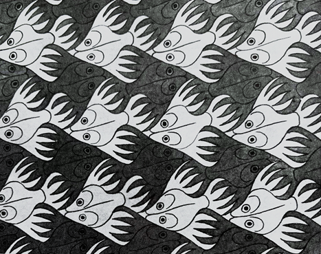 MC Escher - Fish
